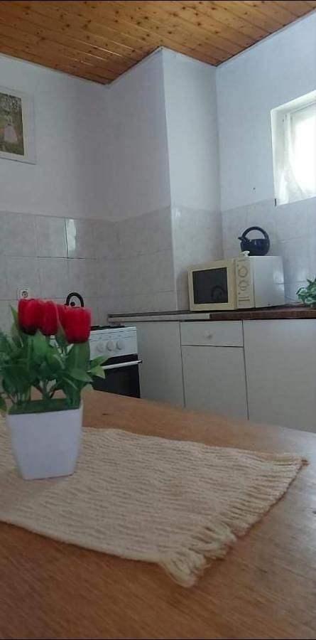 Badacsonyi Pihenes Privat Berlemeny Hotel Badacsonytomaj Luaran gambar